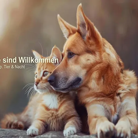 Doemitzer Hafen Szálloda 3*